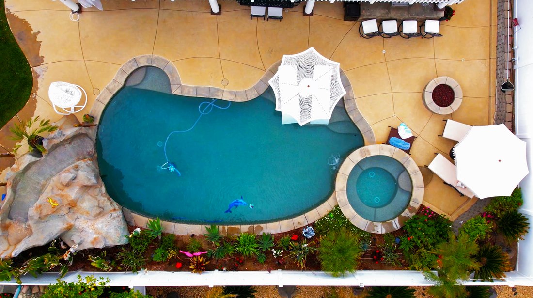Top-down aerial view of a swimming pool and property