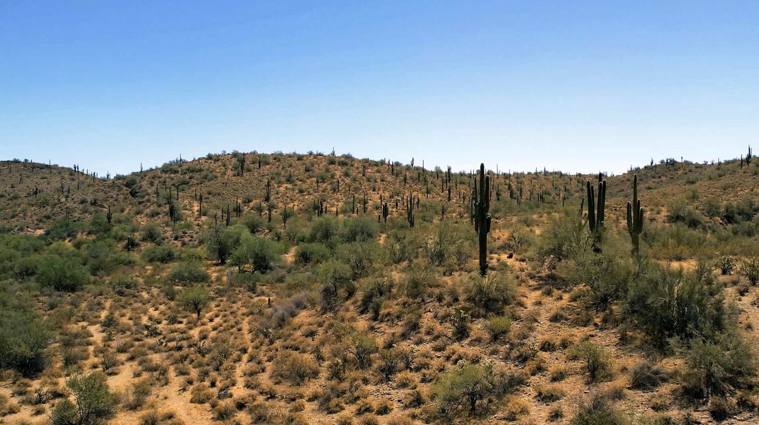 Aerial view of scrubland and a dirt route